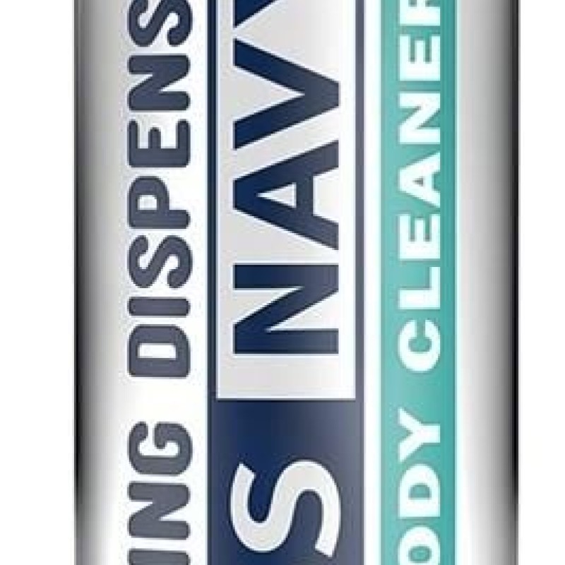 Nettoyant Sextoys mousse Swiss Navy 221ml