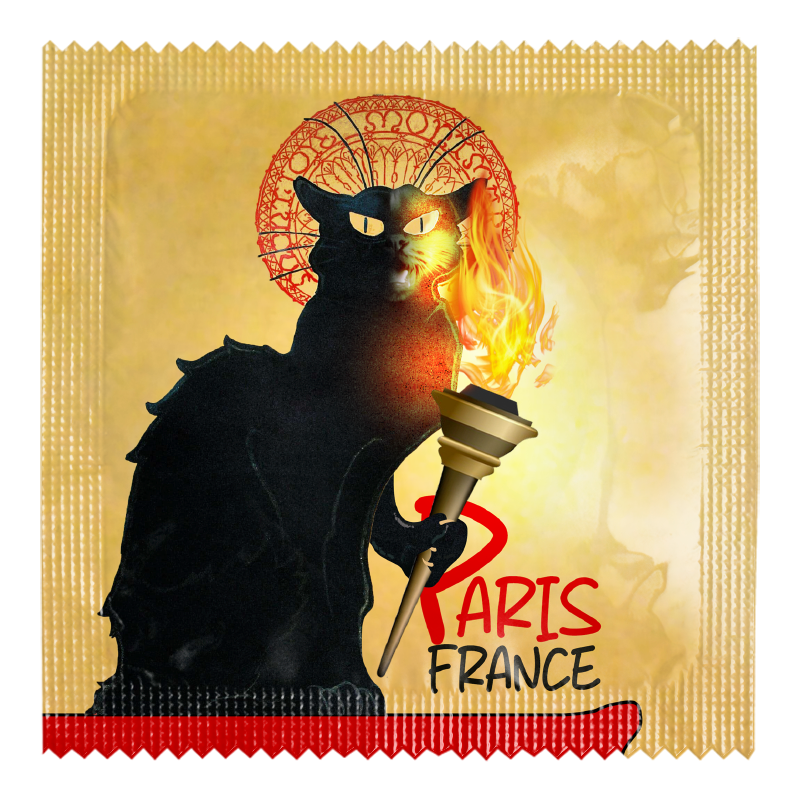 LE CHAT NOIR FLAMME