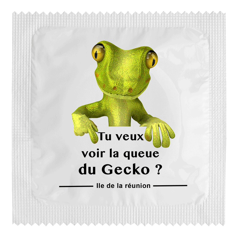 Tu Veux Voir La Queue Du Gecko