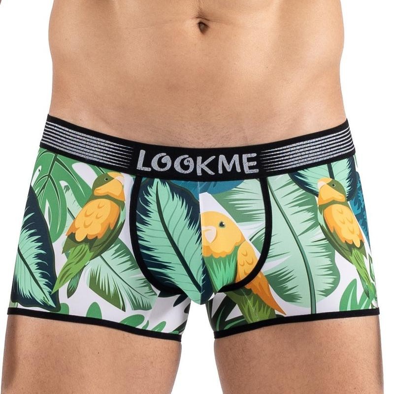 Boxer imprimé oiseau chanteur - Lookme