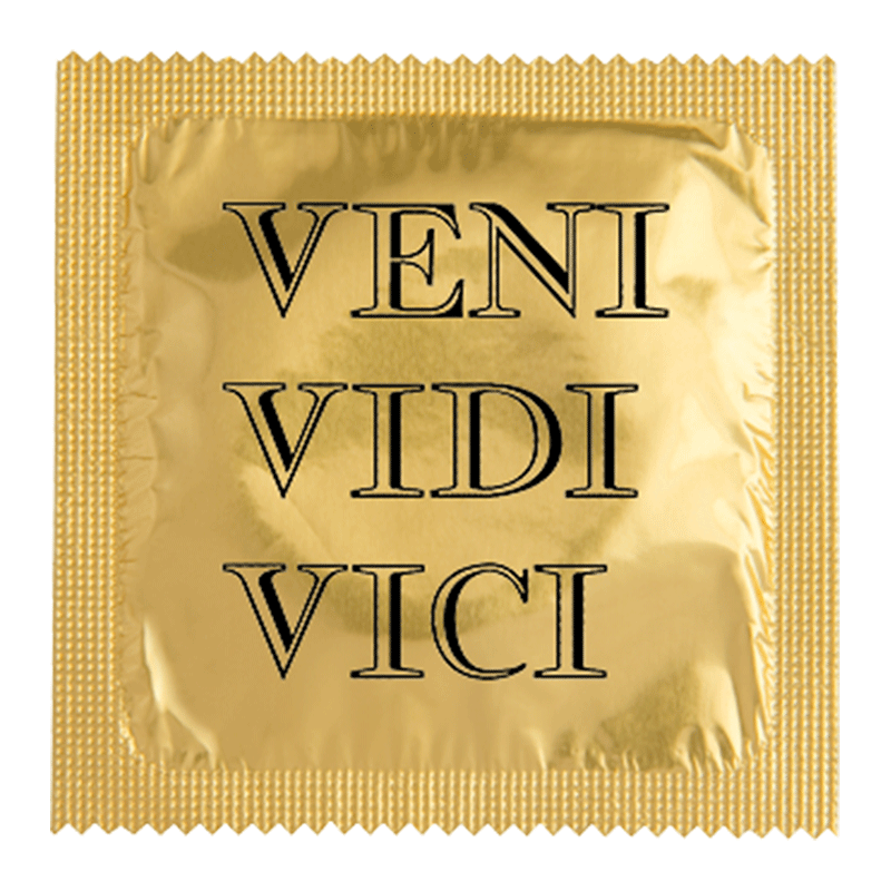 Veni Vidi Vici