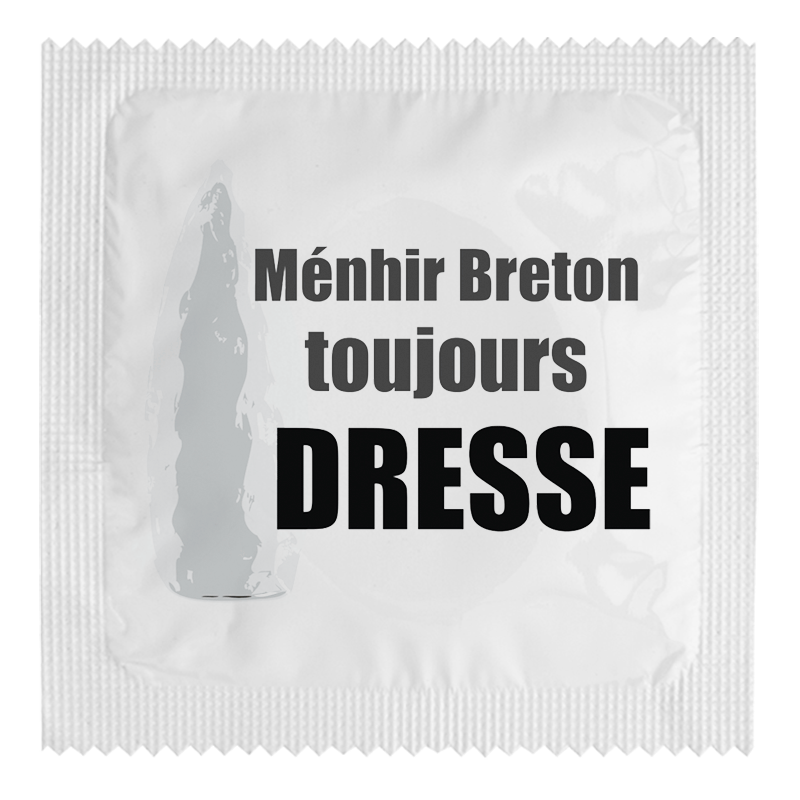 Menhir Breton Toujours Dresse