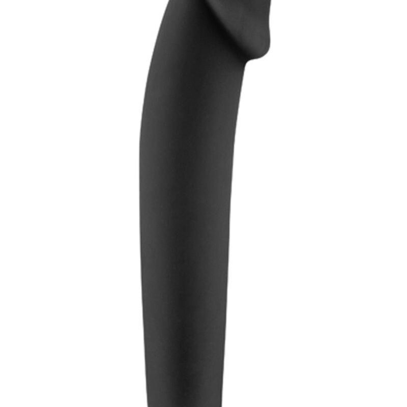 Sextoys vibromasseur noir lisse réaliste