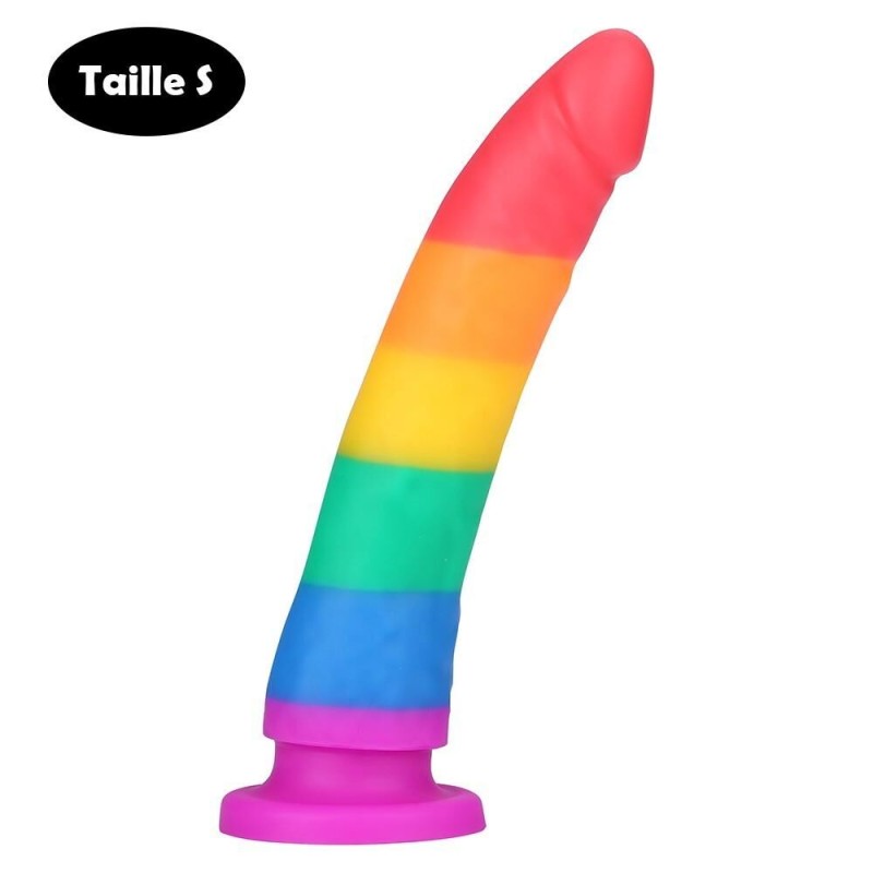 gode ventouse multicolore pride pas cher - sextoys pas cher