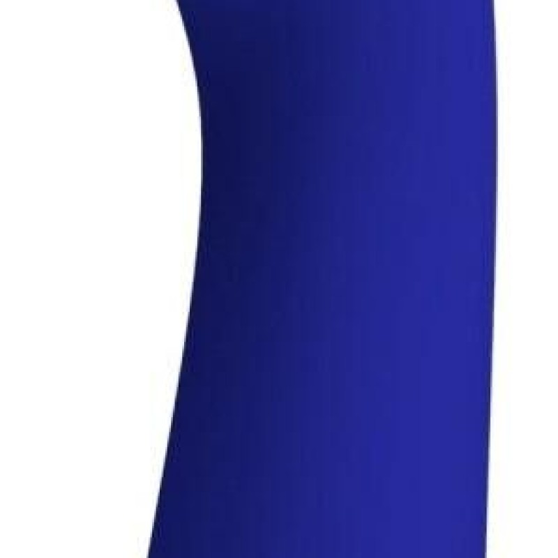 Stimulateur Prostatique Cetus 15 x 3.5cm Indigo